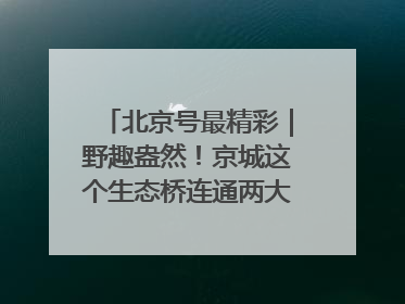 北京号最精彩｜野趣盎然！京城这个生态桥连通两大网红公园