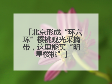 北京形成“环六环”樱桃观光采摘带，这里能买“明星樱桃”