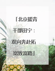 北京援青干部田宁：双向奔赴拓宽致富路