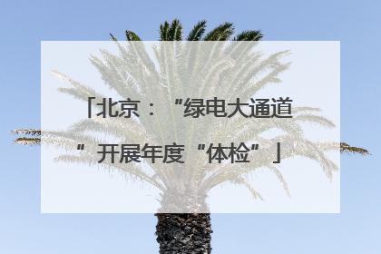 北京：“绿电大通道”开展年度“体检”