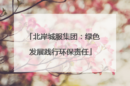 北岸城服集团：绿色发展践行环保责任