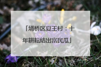 埇桥区夏王村：十年耕耘结出富民瓜