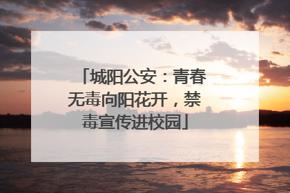城阳公安：青春无毒向阳花开，禁毒宣传进校园
