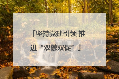 坚持党建引领 推进“双融双促”