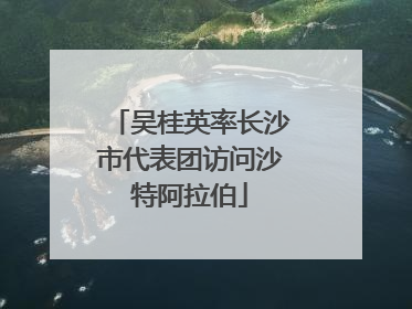 吴桂英率长沙市代表团访问沙特阿拉伯