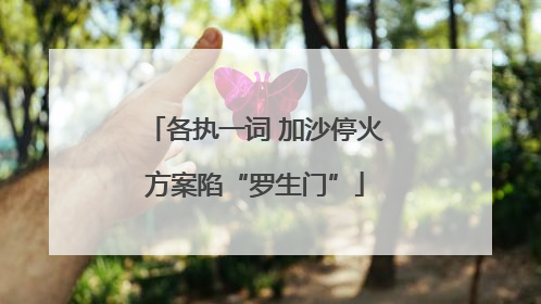 各执一词 加沙停火方案陷“罗生门”