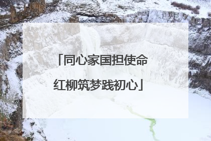 同心家国担使命 红柳筑梦践初心