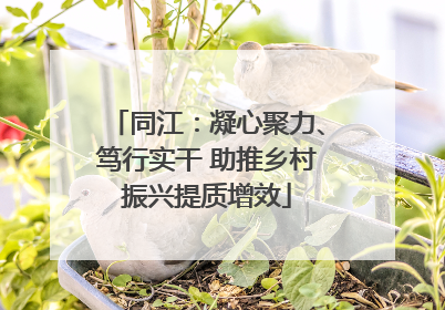 同江：凝心聚力、笃行实干 助推乡村振兴提质增效