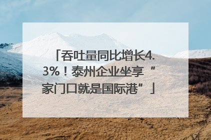 吞吐量同比增长4.3%！泰州企业坐享“家门口就是国际港”
