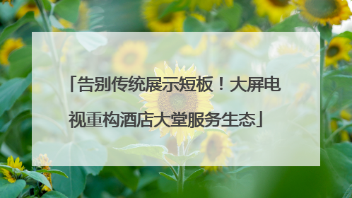 告别传统展示短板！大屏电视重构酒店大堂服务生态