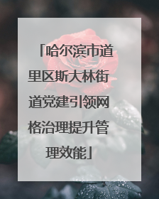 哈尔滨市道里区斯大林街道党建引领网格治理提升管理效能