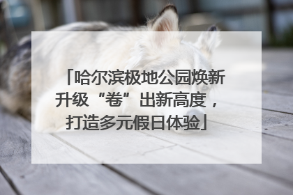哈尔滨极地公园焕新升级“卷”出新高度，打造多元假日体验