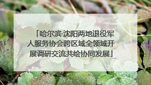哈尔滨·沈阳两地退役军人服务协会跨区域全领域开展调研交流共绘协同发展