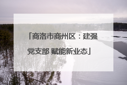 商洛市商州区：建强党支部 赋能新业态