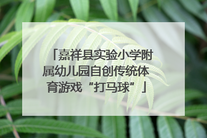 嘉祥县实验小学附属幼儿园自创传统体育游戏“打马球”