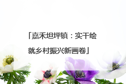 嘉禾坦坪镇：实干绘就乡村振兴新画卷