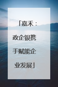 嘉禾：政企银携手赋能企业发展