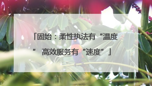 固始：柔性执法有“温度” 高效服务有“速度”