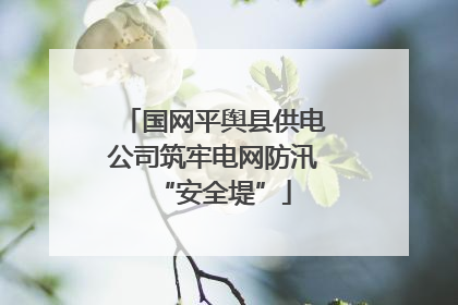 国网平舆县供电公司筑牢电网防汛“安全堤”