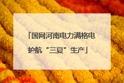 国网河南电力满格电护航“三夏”生产
