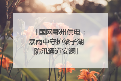 国网鄂州供电：暴雨中守护梁子湖防汛通道安澜
