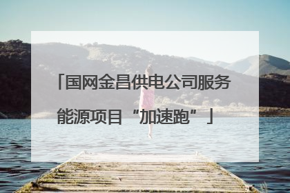 国网金昌供电公司服务能源项目“加速跑”