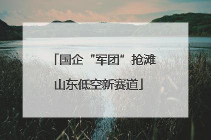 国企“军团”抢滩山东低空新赛道