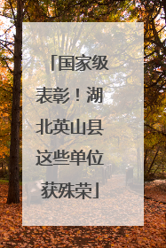 国家级表彰！湖北英山县这些单位获殊荣