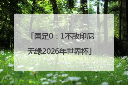 国足0：1不敌印尼 无缘2026年世界杯