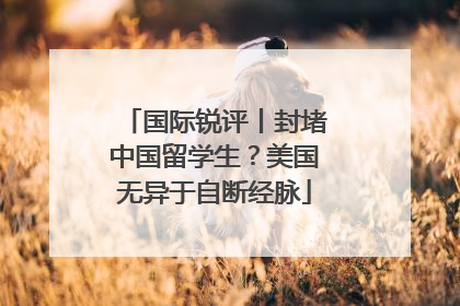 国际锐评丨封堵中国留学生？美国无异于自断经脉