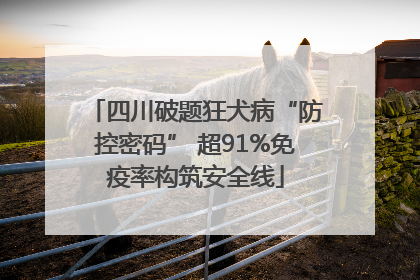 四川破题狂犬病“防控密码” 超91%免疫率构筑安全线