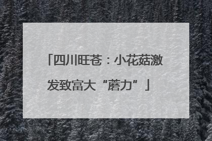 四川旺苍：小花菇激发致富大“蘑力”