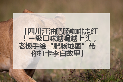 四川江油肥肠咖啡走红！三级口味越喝越上头，老板手绘“肥肠地图”带你打卡李白故里
