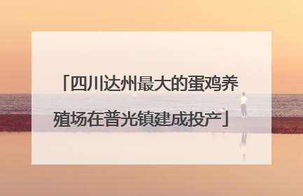 四川达州最大的蛋鸡养殖场在普光镇建成投产