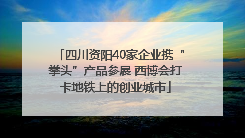 四川资阳40家企业携“拳头”产品参展 西博会打卡地铁上的创业城市