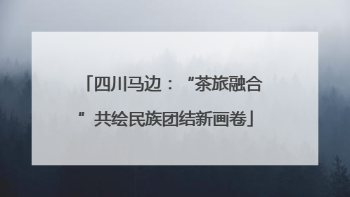 四川马边：“茶旅融合”共绘民族团结新画卷