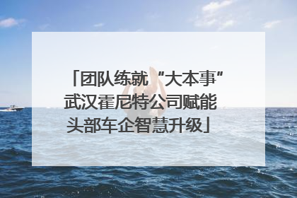 团队练就“大本事” 武汉霍尼特公司赋能头部车企智慧升级