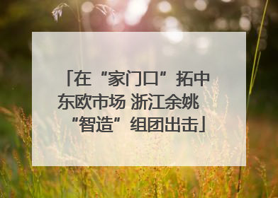 在“家门口”拓中东欧市场 浙江余姚“智造”组团出击