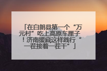 在白朗县第一个“万元村”吃上高原车厘子！济南援藏这样践行“一茬接着一茬干”