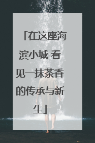 在这座海滨小城 看见一抹茶香的传承与新生