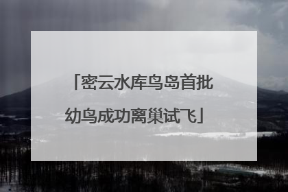 密云水库鸟岛首批幼鸟成功离巢试飞