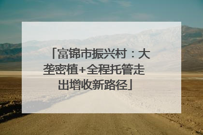 富锦市振兴村：大垄密植+全程托管走出增收新路径