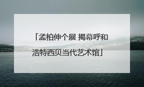 孟柏伸个展 揭幕呼和浩特西贝当代艺术馆