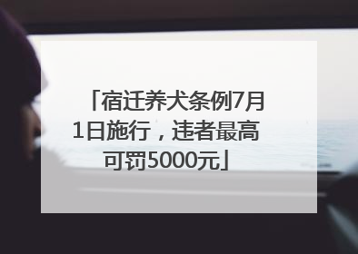 宿迁养犬条例7月1日施行，违者最高可罚5000元