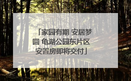 家园有期 安居梦圆 龟湖公园东片区安置房即将交付