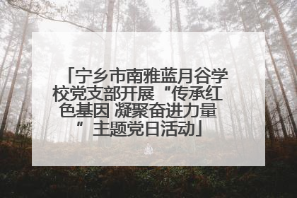 宁乡市南雅蓝月谷学校党支部开展“传承红色基因 凝聚奋进力量”主题党日活动