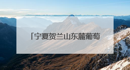 宁夏贺兰山东麓葡萄酒品鉴推介会在沪举行 搭建与长三角地区沟通合作的桥梁
