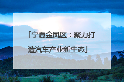 宁夏金凤区：聚力打造汽车产业新生态