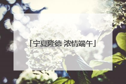 宁夏隆德 浓情端午