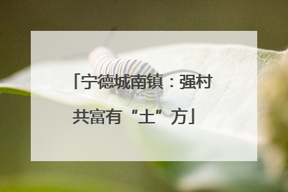 宁德城南镇：强村共富有“土”方